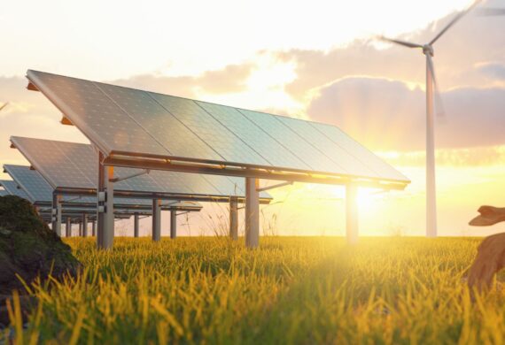 Ein Blick in die Zukunft: Erneuerbare Energien 2050
